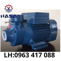 Máy bơm nước Nasa PK60m