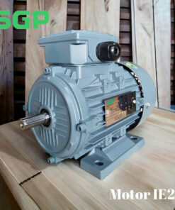Động cơ điện SGP 315M 176HP 2P
