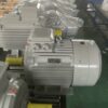 Động cơ điện Dasu YE2-100L1-4