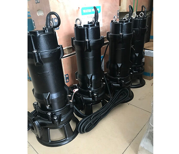 z4953694760257_4e6f28f64432f6d41a9fdb39e5d8949c